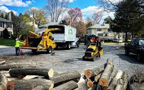 How Our Tree Care Process Works  in  Ozark, AL